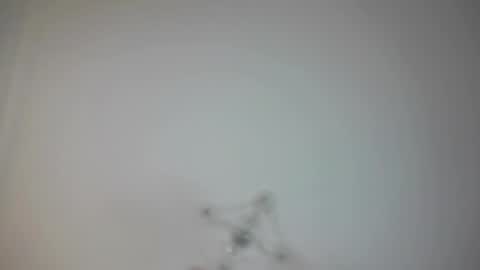 Snapshot of angry_tomato_ chatting on 19, 2, 2025 Lera My next stream on November 30 online show from 19, 2, 2025