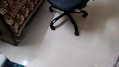 Tutu22 online show from 10, 1, 2025