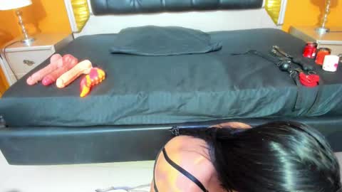 Ani  Time schedule 0600 - 1400 GMT -5 online show from 1, 10, 2025