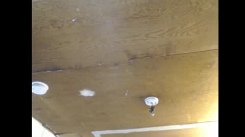 Ani online show from 25, 2, 2025