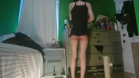 Ani online show from 3, 4, 2026