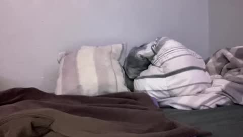 Animeboygirls online show from 10, 1, 2025