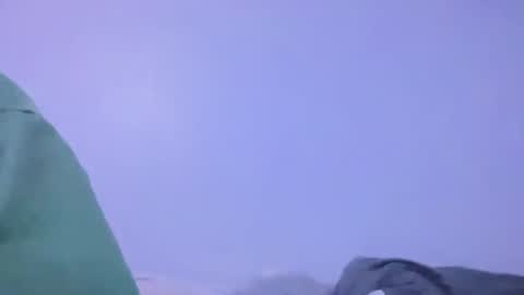 Animeboygirls online show from 2, 2, 2026