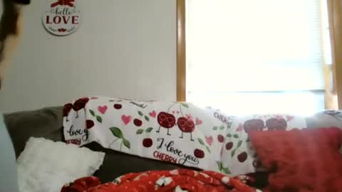 Snapshot of anne12369 chatting on 5, 1, 2026 anne online show from 5, 1, 2026