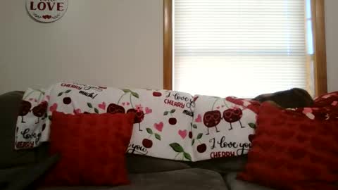 Snapshot of anne12369 chatting on 12, 1, 2026 anne online show from 12, 1, 2026