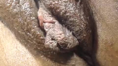 Anny online show from 21, 12, 2025