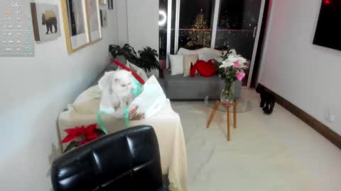 Snapshot of annybeiker chatting on 1, 12, 2025 Anny online show from 1, 12, 2025