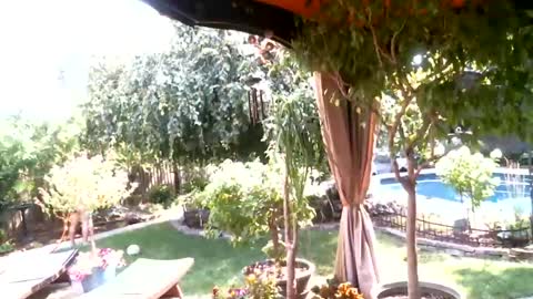 anoaklawnguy online show from 26, 7, 2026