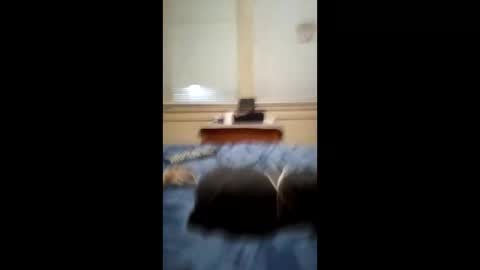 Snapshot of anthonymichael691973668762 chatting on 3, 3, 2026 anthonymichael691973668762 online show from 3, 3, 2026