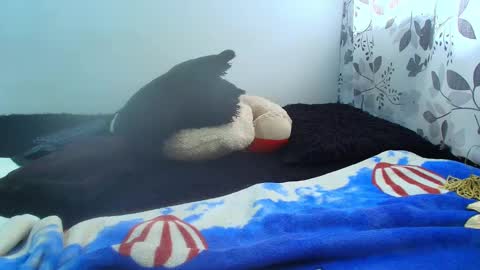 ANTONELLA WILLIAM  INDEPENDIENTE online show from 5, 2, 2025