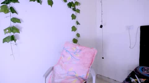 antonella online show from 17, 12, 2025