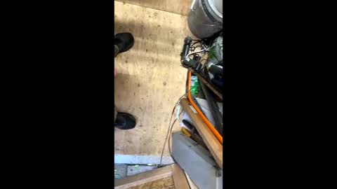 anyjuan online show from 28, 9, 2025