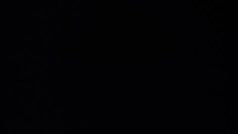 Snapshot of anyname19 chatting on 10, 10, 2025 Punk online show from 10, 10, 2025