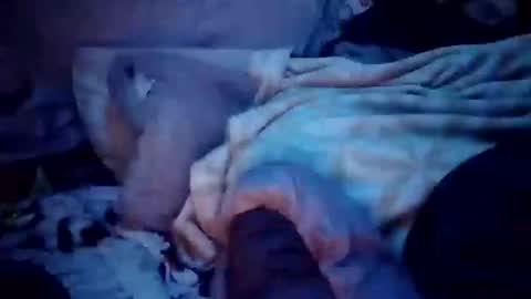 Snapshot of apocolypseanomaly chatting on 16, 12, 2024 apocolypseanomaly online show from 16, 12, 2024