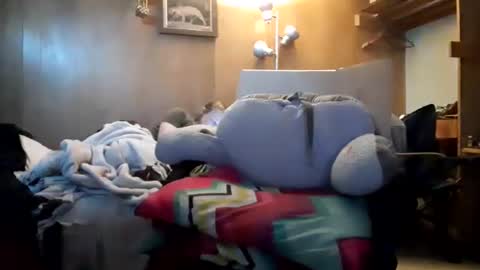 Snapshot of apocolypseanomaly chatting on 26, 12, 2024 apocolypseanomaly online show from 26, 12, 2024