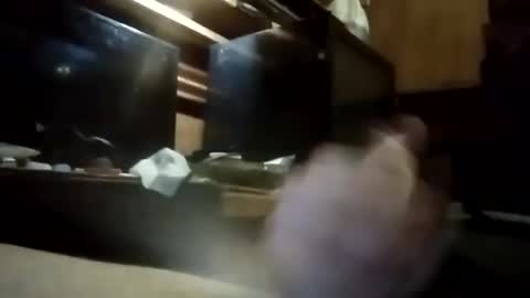 Snapshot of apocolypseanomaly chatting on 3, 1, 2025 apocolypseanomaly online show from 3, 1, 2025