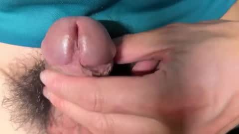 apple2761 online show from 25, 3, 2026