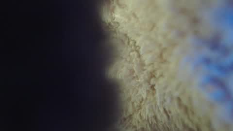 Abril Freelance Model online show from 5, 2, 2025