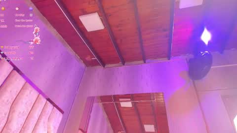 Snapshot of ari_monet chatting on 13, 2, 2025 ARI online show from 13, 2, 2025