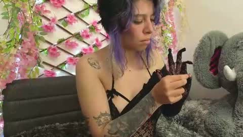 Snapshot of aria_silk chatting on 26, 6, 2026 aria_silk online show from 26, 6, 2026