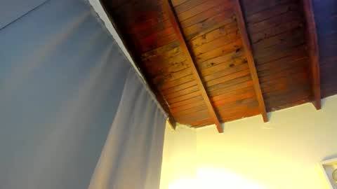  ARI  online show from 19, 11, 2025