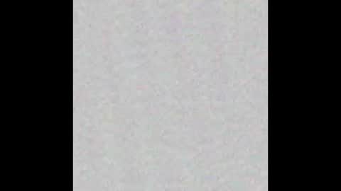 Arianna Collins online show from 4, 10, 2025