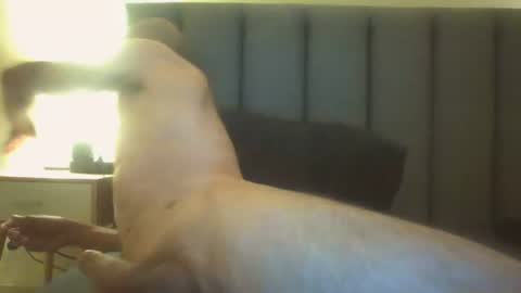 Snapshot of arnoldmir chatting on 12, 7, 2026 Arnoldmir online show from 12, 7, 2026