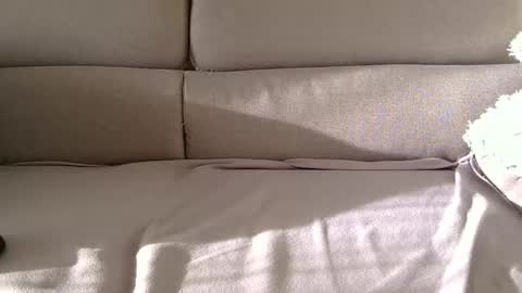 arpinopeer3055 online show from 5, 11, 2025