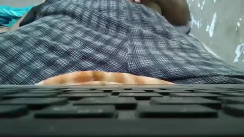 art_max99xxx online show from 11, 1, 2025