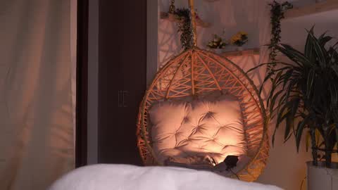 Snapshot of artemia_ chatting on 23, 2, 2025 Amanda online show from 23, 2, 2025