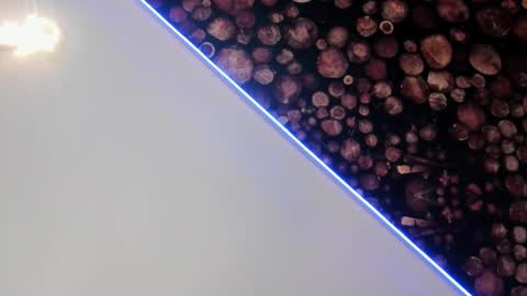 Snapshot of artemisablake chatting on 5, 3, 2025 artemisablake online show from 5, 3, 2025