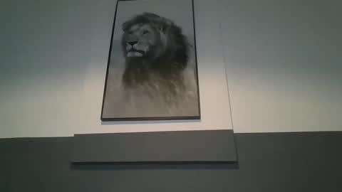 arthure944491 online show from 29, 10, 2025