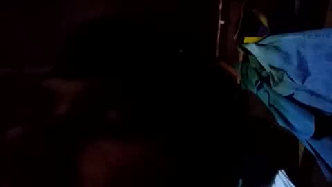 arvy95198 online show from 12, 10, 2025