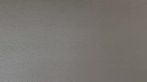 Snapshot of ash123400000 chatting on 12, 2, 2026 ash123400000 online show from 12, 2, 2026