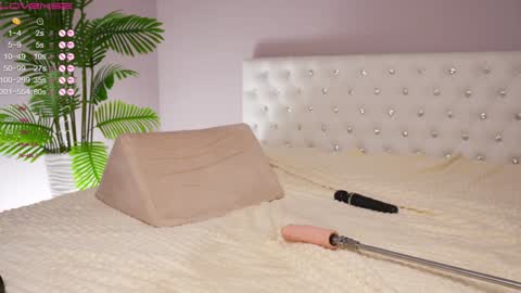 Amy  online show from 25, 1, 2025