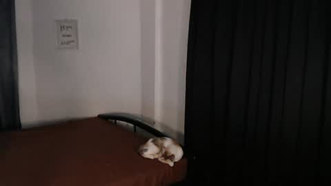 Snapshot of asian_cutiebaexx chatting on 24, 7, 2026 Pat online show from 24, 7, 2026
