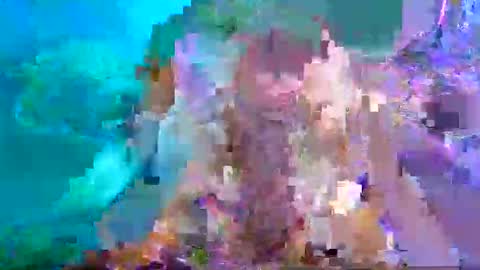 Aspy online show from 26, 1, 2025