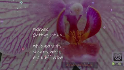 Atrena online show from 10, 4, 2026