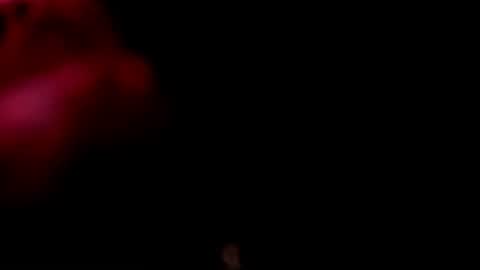 Monii Yi online show from 20, 2, 2026