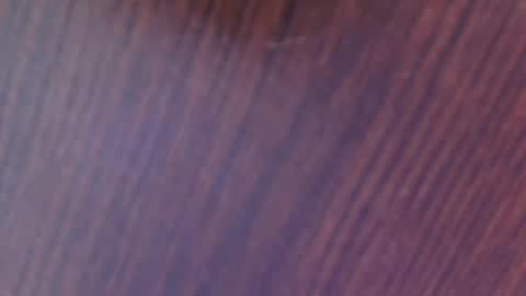 Snapshot of auroradiaz_ chatting on 12, 2, 2025 Aurora Diaz online show from 12, 2, 2025