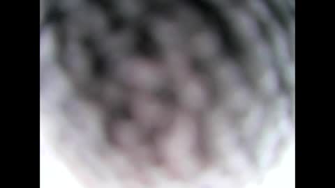 aussie64 online show from 8, 3, 2025