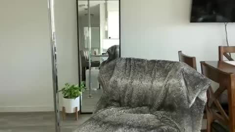 Little Ava  online show from 15, 4, 2026