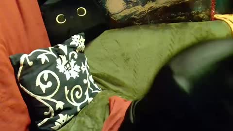 raven blue online show from 20, 2, 2025