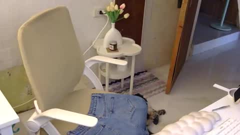 Rhian online show from 21, 11, 2025