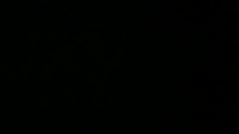 Snapshot of avg3131 chatting on 16, 1, 2025 avg3131 online show from 16, 1, 2025