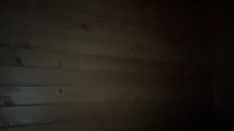 Snapshot of ayshekisskitty chatting on 9, 1, 2025 ViktoranMary online show from 9, 1, 2025