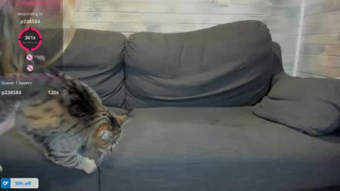 Maribel Bel online show from 16, 4, 2026