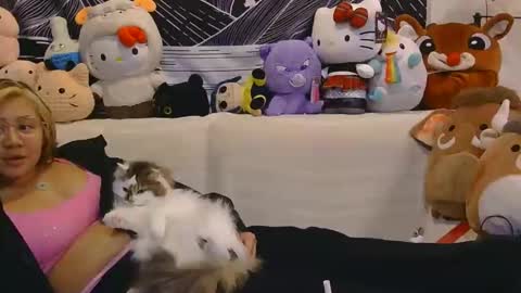 aznp1ea5er online show from 27, 2, 2026