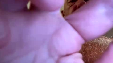 benito online show from 28, 9, 2025