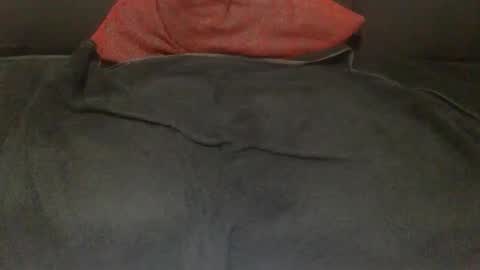 Snapshot of babo838383 chatting on 8, 11, 2025 babo838383 online show from 8, 11, 2025